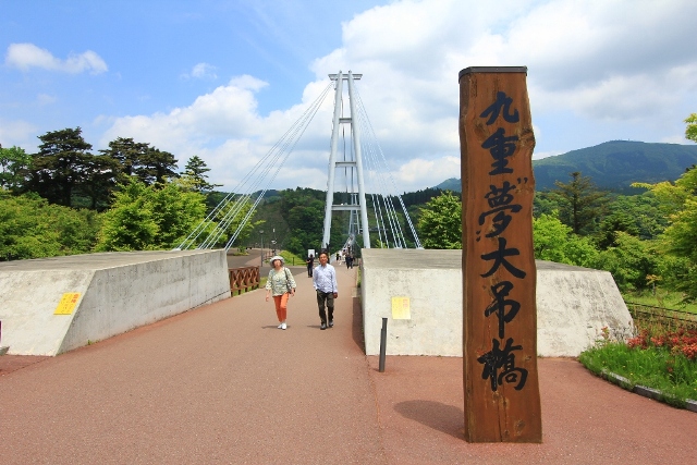 d0132743_1132087.jpg