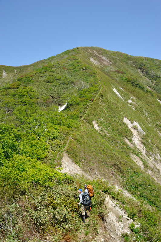 d0169556_21411744.jpg