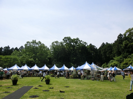 b0167759_14545714.jpg