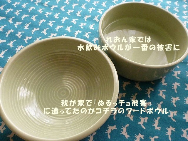 e0176159_16471382.jpg