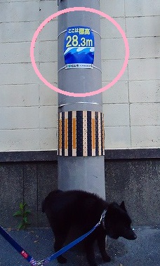 e0002466_19243438.jpg