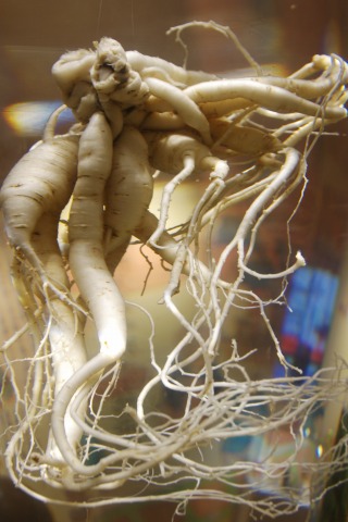 e0045768_2261231.jpg
