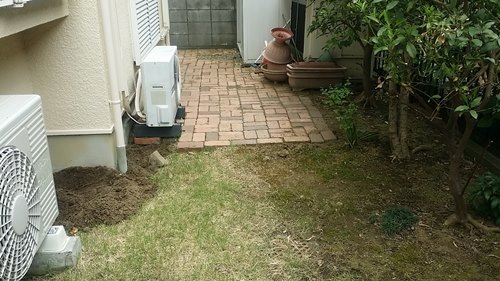 e0248268_15514459.jpg