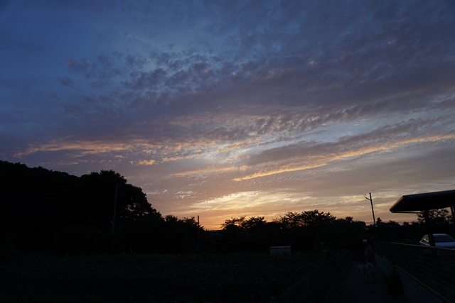 c0257276_16305856.jpg