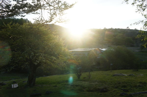 f0235376_2116079.jpg