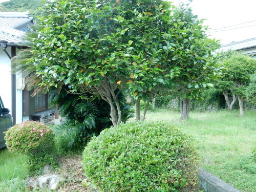 f0054677_05594101.jpg