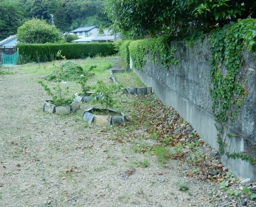 f0054677_06105024.jpg