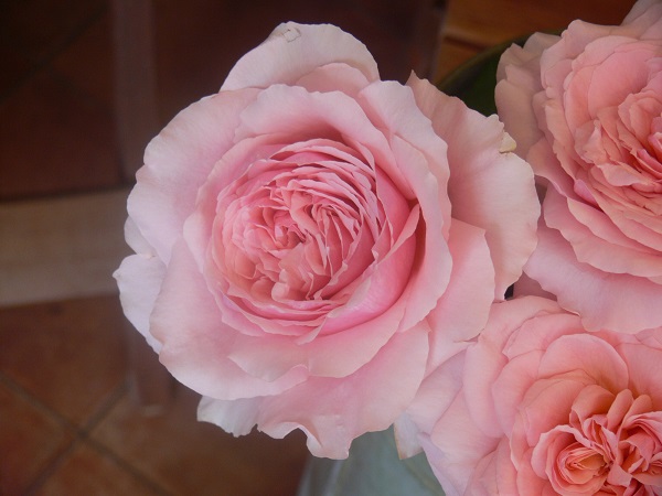 e0140986_11293519.jpg