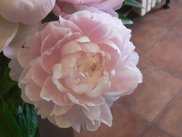 e0140986_1133757.jpg