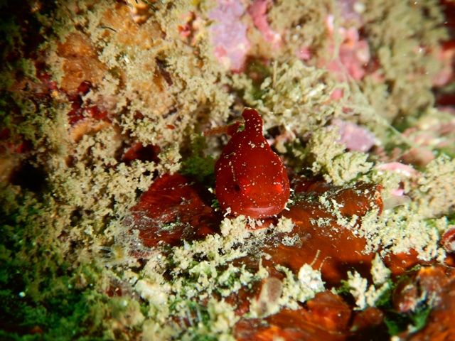 f0151886_1635330.jpg