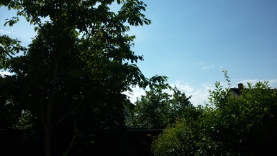 a0247194_0271237.jpg