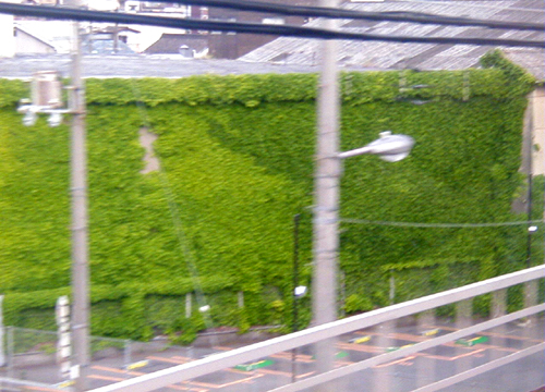 d0053294_210577.jpg