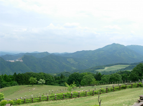d0129295_11422916.jpg