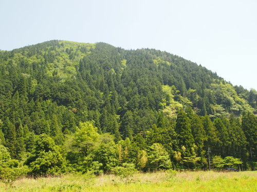 e0122100_15163496.jpg