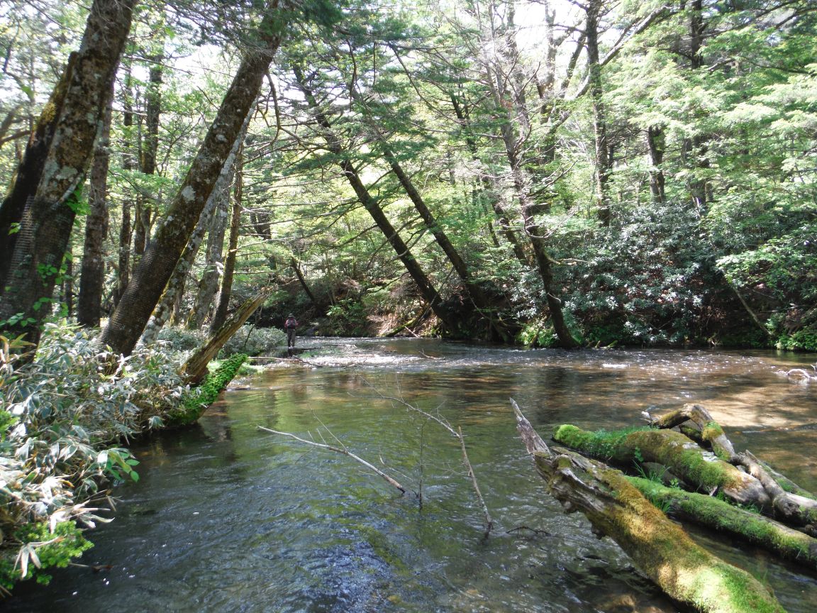 b0172805_9565120.jpg
