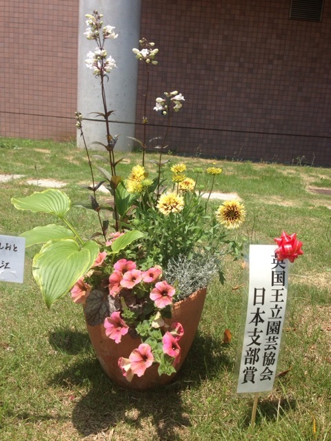 f0162908_21241671.jpg