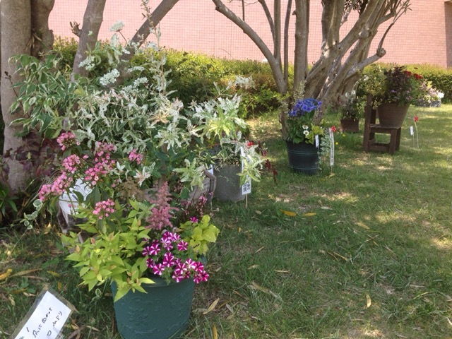 f0162908_21250598.jpg