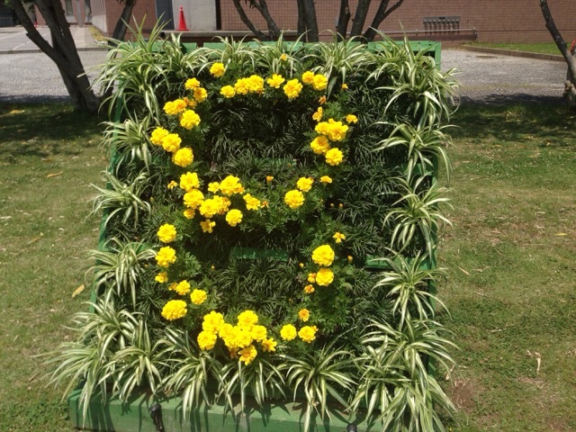 f0162908_21251585.jpg
