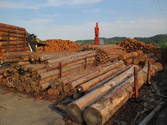 d0091909_110425.jpg