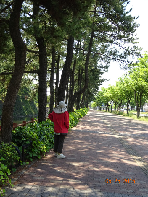 a0019212_2156263.jpg