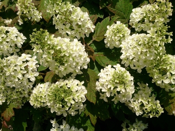 c0352015_14093923.jpg
