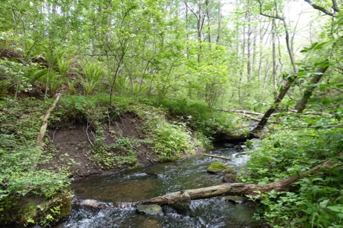 e0192217_934879.jpg