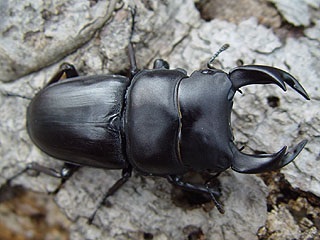c0346119_22052742.jpg