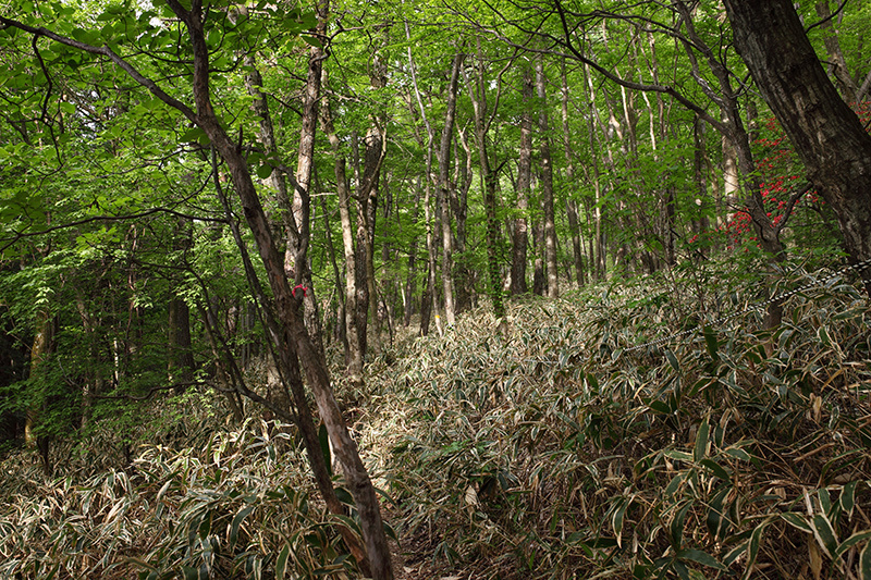c0369219_07071537.jpg