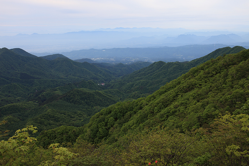 c0369219_07583894.jpg