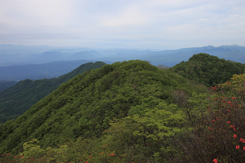 c0369219_14264108.jpg