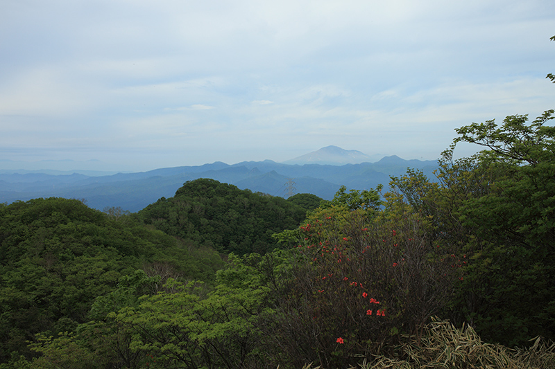 c0369219_14354398.jpg