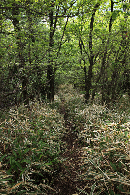 c0369219_15260149.jpg