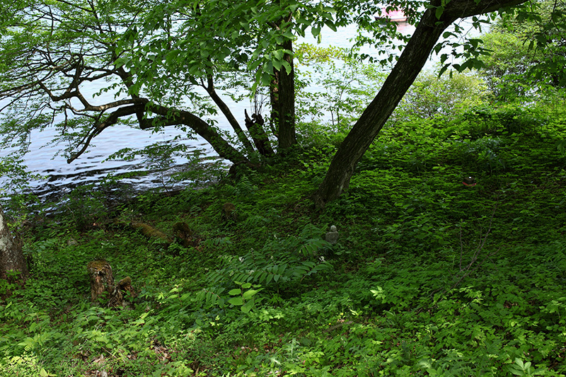 c0369219_20591393.jpg
