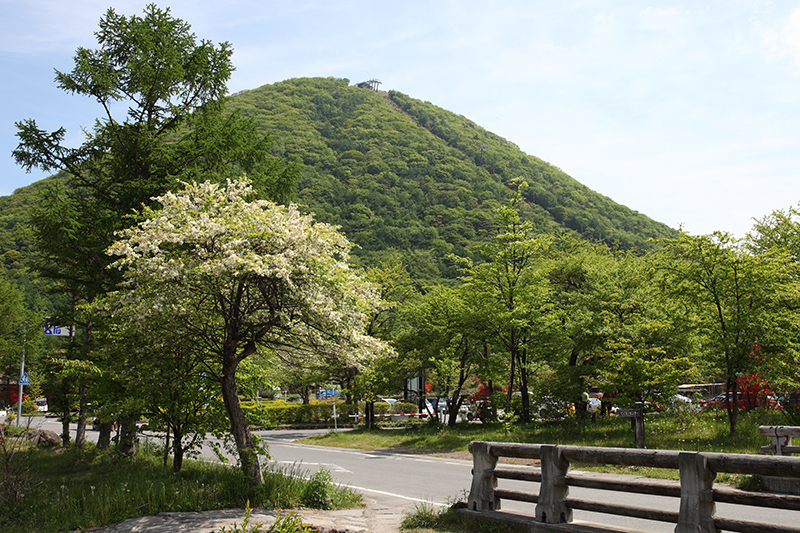 c0369219_21260999.jpg