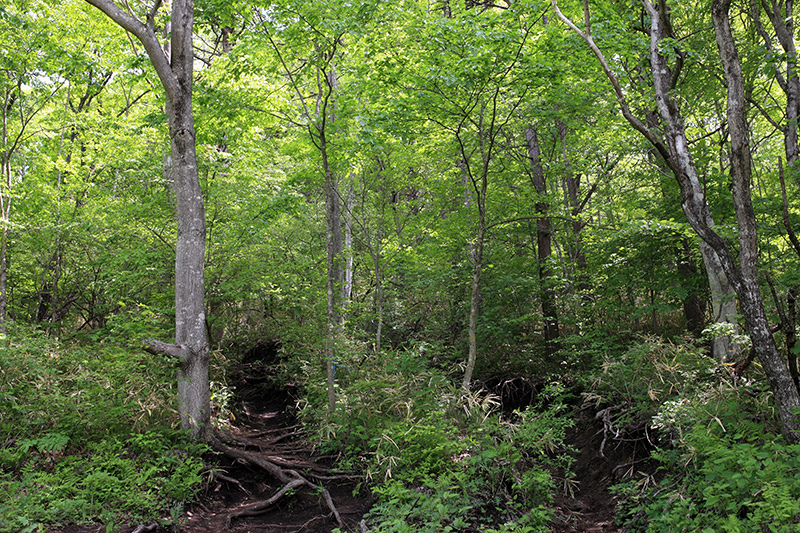 c0369219_21473237.jpg