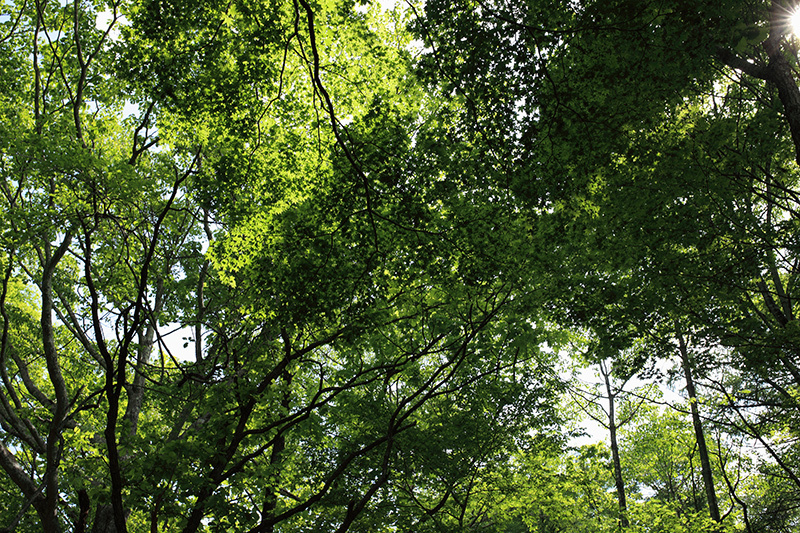 c0369219_22014633.jpg