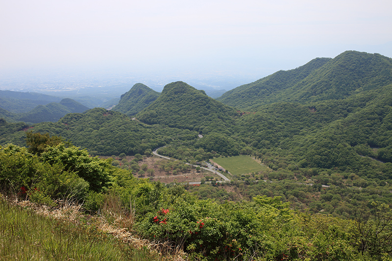 c0369219_22445017.jpg