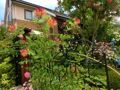 c0204121_23161175.jpg