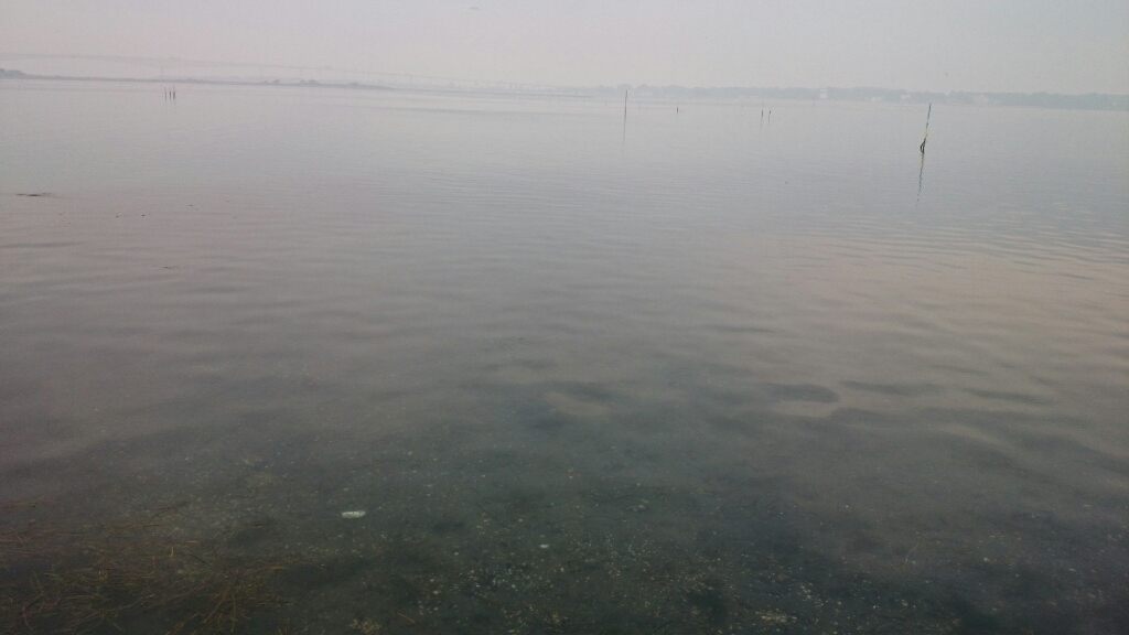 b0259124_17161725.jpg
