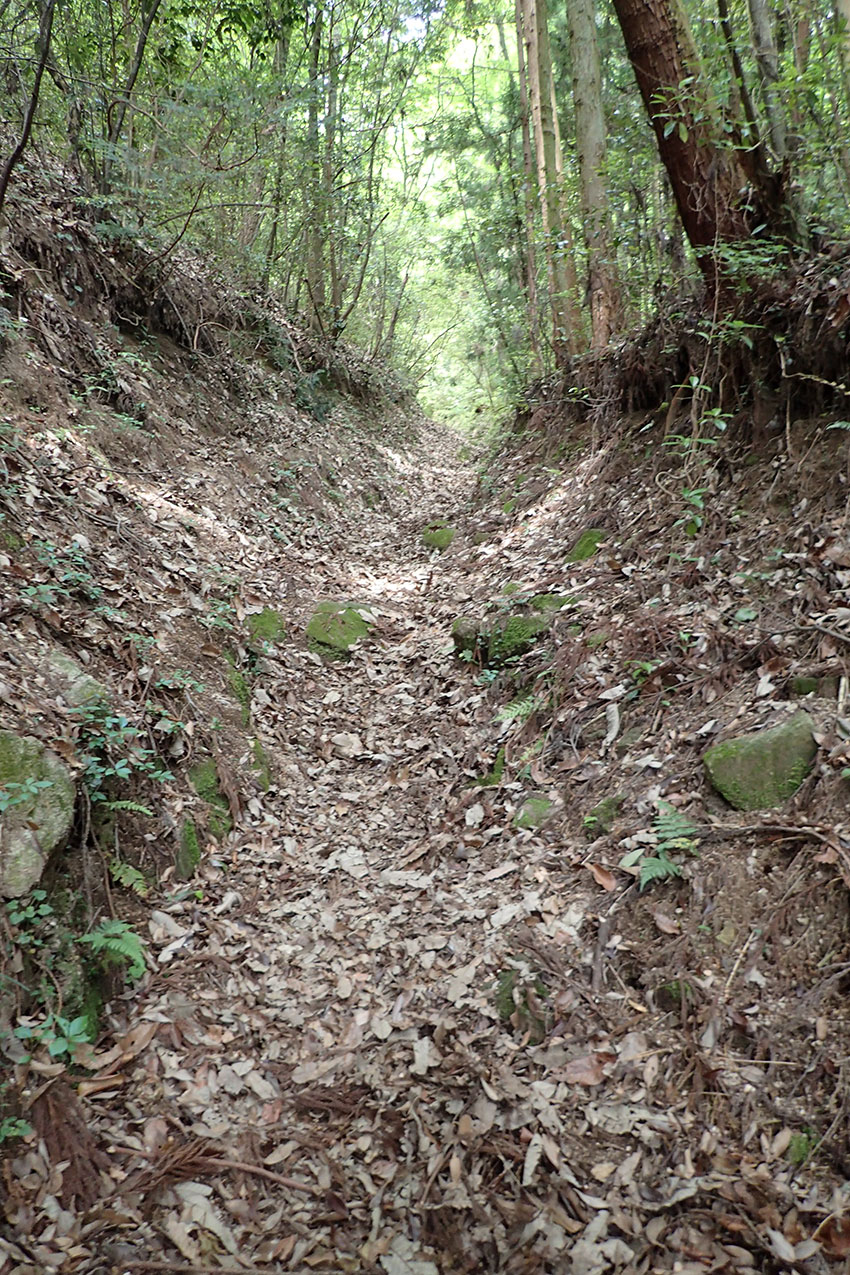 c0064025_19423131.jpg