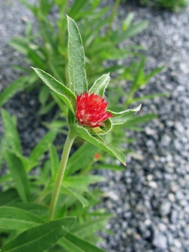 f0129726_22095009.jpg