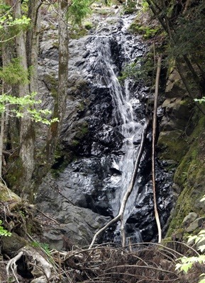 e0033229_20251167.jpg