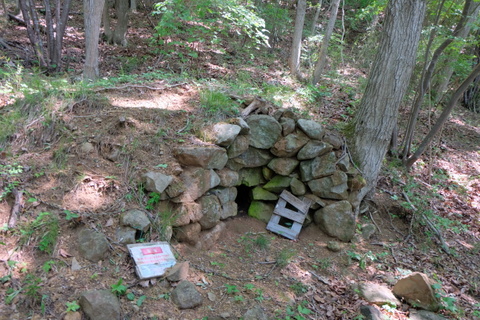 b0281732_13164710.jpg