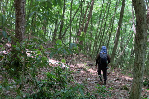 b0281732_13165521.jpg