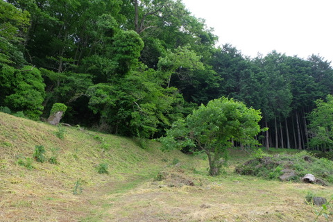 b0281732_1316691.jpg