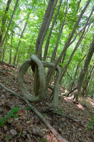 b0281732_13172361.jpg
