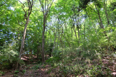 b0281732_13174453.jpg