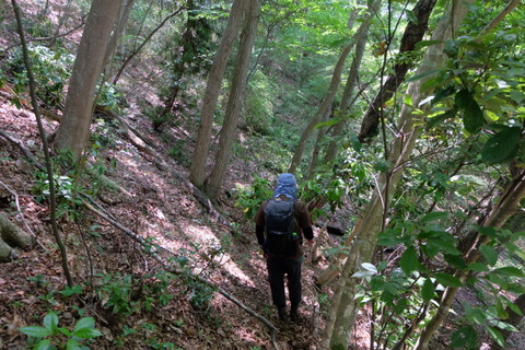 b0281732_1318110.jpg