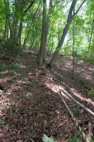 b0281732_13182842.jpg