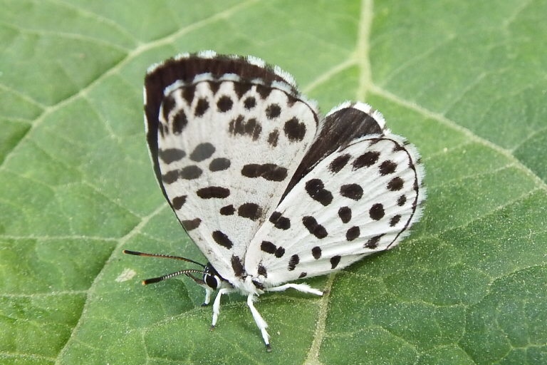 f0118332_21262576.jpg